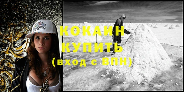 стаф Вяземский