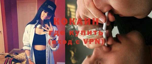 стаф Вяземский