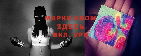 стаф Вяземский