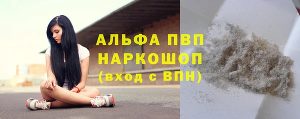 стаф Вяземский