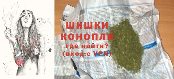 стаф Вяземский