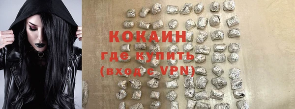 стаф Вяземский