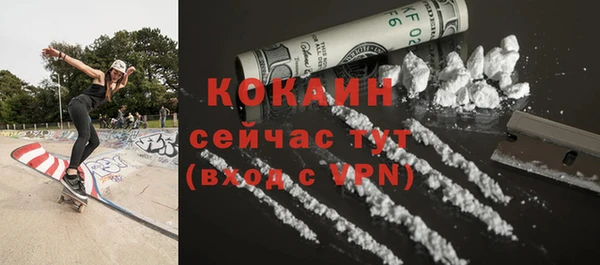 стаф Вяземский