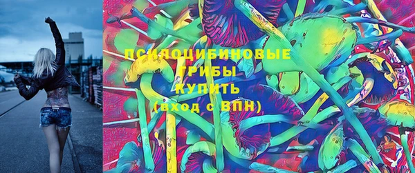 стаф Вяземский