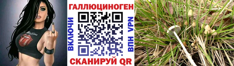 Купить закладки  Октябрьский  Псилоцибиновые грибы GOLDEN TEACHER 