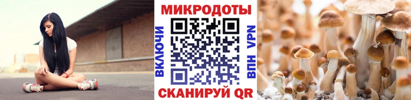 Галлюциногенные грибы Magic Shrooms Октябрьский
