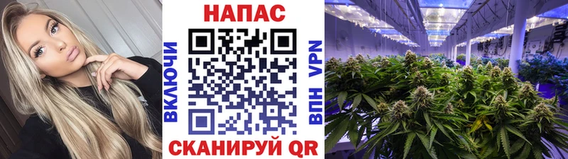 Купить закладки  Октябрьский  Шишки марихуана MAZAR 